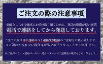 湘南しらすお試しセット（釜揚げしらす180g×4パック、おまかせ海産物）