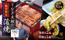 【蒲焼2尾&nbsp;白焼1尾　計3尾セット】創業50年・職人による手焼き　大隅産うなぎ
