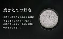 【定期便】令和6年産 南魚沼産コシヒカリ「塩沢地区限定」精米 2kg×3袋 3ヶ月連続