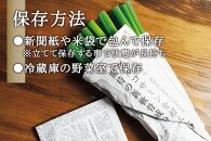 甘ねぎ 2kg（約10本～17本） ネギ 葱 野菜 やさい すき焼き うどん 味噌汁 みそ汁 チャーハン 産地直送 ご当地 人気 おすすめ 新鮮 お取り寄せ 先行予約 旬 宮城 角田