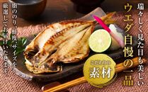 博多製造　四季のひものセット（全4回定期便）