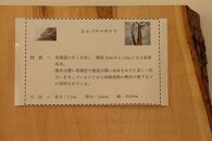 天然広葉樹原板（エゾヤマザクラ：長さ1.1ｍ・厚み3.6ｃｍ・幅35.0ｃｍ　）
