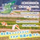 【3か月定期便】佐渡島産コシヒカリ 玄米5Kg 令和5年産 特別栽培米