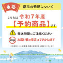 【新米予約&nbsp;3か月定期便】佐渡島産コシヒカリ&nbsp;玄米5Kg&nbsp;令和7年&nbsp;特別栽培米&nbsp;農家直送