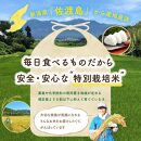 【3か月定期便】佐渡島産コシヒカリ 無洗米5Kg 令和5年産 特別栽培米