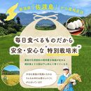 【新米】【12か月定期便】 佐渡島産コシヒカリ 無洗米5Kg 特別栽培米