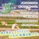 【新米】【12か月定期便】 佐渡島産コシヒカリ 白米10Kg 特別栽培米