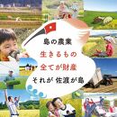 佐渡島産 ミルキークイーン 白米5Kg×1袋 【令和5年産】特別栽培米