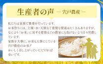 【6回定期便】北海道八雲町熊石産 ゆめぴりか(精白米) 10kg(5kg×2袋)(2024年10月発送開始) 【 北海道八雲町熊石産 ゆめぴりか 10kg 精白米 米 お米 おこめ コメ こめ おうちごはん 家庭用 八雲町 北海道 】