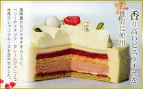 先行予約&nbsp;デリス・ア・ラ・ピスターシュ&nbsp;5号&nbsp;（15cm)&nbsp;2025&nbsp;クリスマスケーキ