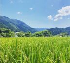 【藤岡酒造】蒼空　蔵づくり米キヌヒカリ