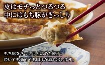 和豚 もちぶた 手作り餃子 10個入り×4袋 計40個 ぎょうざ ギョウザ 冷凍 国産 豚肉 ポーク 簡単 国産野菜 お惣菜 おつまみ 晩酌 お取り寄せ グルメ 肉の片山 送料無料 新潟県 南魚沼市