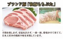 和豚 もちぶた 手作り餃子 10個入り×4袋 計40個 ぎょうざ ギョウザ 冷凍 国産 豚肉 ポーク 簡単 国産野菜 お惣菜 おつまみ 晩酌 お取り寄せ グルメ 肉の片山 送料無料 新潟県 南魚沼市