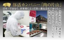 和豚 もちぶた 手作り餃子 10個入り×4袋 計40個 ぎょうざ ギョウザ 冷凍 国産 豚肉 ポーク 簡単 国産野菜 お惣菜 おつまみ 晩酌 お取り寄せ グルメ 肉の片山 送料無料 新潟県 南魚沼市