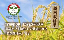 【特別栽培米】南魚沼産&nbsp;コシヒカリ&nbsp;5kg&nbsp;×5袋&nbsp;計25kg&nbsp;いなほ新潟&nbsp;農家のこだわり&nbsp;新潟県&nbsp;南魚沼市&nbsp;塩沢地区&nbsp;しおざわ&nbsp;お米&nbsp;こめ&nbsp;白米&nbsp;コメ&nbsp;食品&nbsp;人気&nbsp;おすすめ&nbsp;送料無料