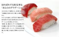 本マグロ中トロ1kg　解凍レシピ付　1サクずつ真空包装