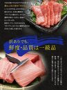 本マグロ訳あり中トロ700g！解凍レシピ付