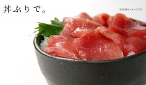 本マグロ赤身1kg　解凍レシピ付　1サクずつ真空包装