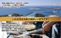 いわきの老舗　海産物加工専門店　丸市屋「いわき海鮮魚漬3品詰合せ」