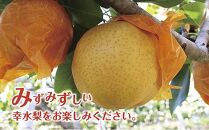 【先行予約】福島県いわき市産梨（幸水）3kg