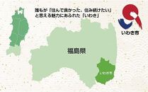 【産地直送・数量限定・特別ギフト】いわき市産いちご　ふくはる香　大玉20粒入り1箱