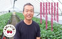 訳あり【産地直送】いわき市産いちご　草野いちご園のいちごの詰め合わせ1kg（中身はお任せ）