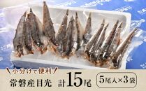 常磐産めひかり一夜干し　15尾