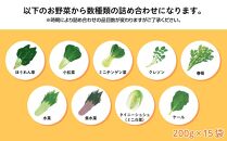 いわき浜の野菜セット（いわき市産の野菜詰め合わせセット）