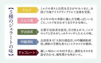 木村ミルク　命の雫　手作りジェラート10個