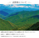 ［通年］仏花墓用デラックス&nbsp;2束セット&nbsp;SNG102269111