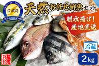 佐渡産 天然お任せ鮮魚セット 2kg