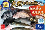 佐渡産 天然お任せ鮮魚セット 5kg