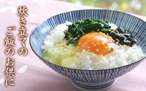 島乃香 小豆島産生のり 180g×15本