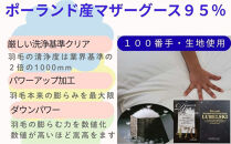 羽毛布団&nbsp;セミダブル&nbsp;羽毛掛け布団&nbsp;ポーランド産マザーグース95&nbsp;&nbsp;100番手&nbsp;羽毛ふとん&nbsp;羽毛掛けふとん&nbsp;ダウンパワー470&nbsp;&nbsp;本掛け羽毛布団&nbsp;本掛け羽毛掛け布団&nbsp;寝具&nbsp;冬用羽毛布団【BE118】