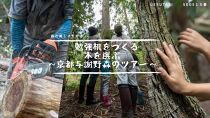uerutabi SDGs１５番　森の美しさを守る 勉強机をつくる木を選ぶ～与謝野森のツアー～