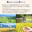 【新米・先行予約】佐渡島産 にじのきらめき 白米5Kg×1袋 特別栽培米 令和6年産