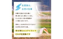 【新米】佐渡島産 ゆきん子舞 白米 10kg(5kg×2袋)  令和6年産