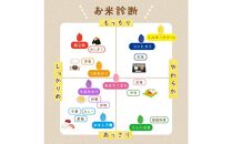 【新米】佐渡島産 ゆきん子舞 白米 10kg(5kg×2袋)  令和6年産