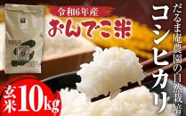 【令和6年産】だるま庵農園の自然栽培コシヒカリ玄米10キロ「おんでこ米」【2024年10月中旬より順次発送】