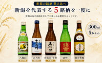 新潟の辛口飲み比べ！金賞受賞五蔵飲み比べセット&nbsp;300ml&nbsp;5本