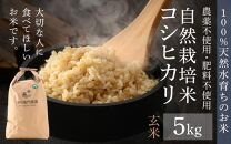 【令和6年産 新米】伊与衛門農園の自然栽培米 コシヒカリ 玄米 5kg 【福井県認証米】伊与衛門農園の特別栽培米 ＜温度と湿度を常時管理し新鮮米を出荷！＞ / 米 自然の力 高品質 鮮度抜群 ブランド米 福井県 あわら市産 スマート農業