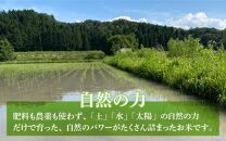 【定期便12回】【令和6年産 新米】伊与衛門農園の自然栽培コシヒカリ玄米 5kg×12回  伊与衛門農園の特別栽培米 ＜温度と湿度を常時管理し新鮮米を出荷！＞ / 米 自然の力 高品質 鮮度抜群 ブランド米 福井県 あわら市産 スマート農業 白米