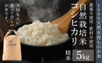 【令和6年産 新米】伊与衛門農園の自然栽培コシヒカリ精米 5kg  【福井県認証米】伊与衛門農園の特別栽培米＜温度と湿度を常時管理し新鮮米を出荷！＞ / 米 白米 自然の力 高品質 鮮度抜群 ブランド米 福井県 あわら市産 スマート農業