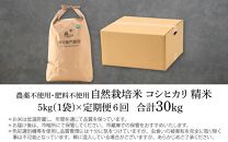 【定期便6回】令和6年産 新米 伊与衛門農園の自然栽培コシヒカリ精米 5kg×6回  伊与衛門農園の特別栽培米 ＜温度と湿度を常時管理し新鮮米を出荷！＞/ 米 白米 自然の力 高品質 鮮度抜群 ブランド米 福井県 あわら市産 スマート農業