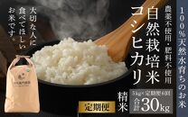 【定期便6回】令和6年産 新米 伊与衛門農園の自然栽培コシヒカリ精米 5kg×6回  伊与衛門農園の特別栽培米 ＜温度と湿度を常時管理し新鮮米を出荷！＞/ 米 白米 自然の力 高品質 鮮度抜群 ブランド米 福井県 あわら市産 スマート農業