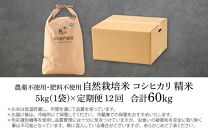 【定期便12回】【令和6年産 新米】 伊与衛門農園の自然栽培コシヒカリ精米 5kg×12回  伊与衛門農園の特別栽培米＜温度と湿度を常時管理し新鮮米を出荷！＞ / 米 白米 自然の力 高品質 鮮度抜群 ブランド米 福井県 あわら市産 スマート農業