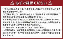 北海道八雲町　宿泊割引券3,000円分【 宿泊券 割引券 旅行 ホテル ホテルチケット 観光 宿泊 ご当地 八雲町 北海道 】