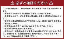 北海道八雲町　宿泊割引券3,000円分【 宿泊券 割引券 旅行 ホテル ホテルチケット 観光 宿泊 ご当地 八雲町 北海道 】