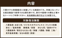 北海道八雲町　宿泊割引券3,000円分【 宿泊券 割引券 旅行 ホテル ホテルチケット 観光 宿泊 ご当地 八雲町 北海道 】