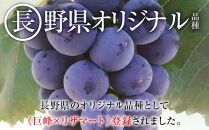 2024 PI ナガノパープル　冷凍粒採り6パック　中粒小粒　約1キロ　【9月末頃～順次発送予定】　長野県産　国際特許有機肥料栽培